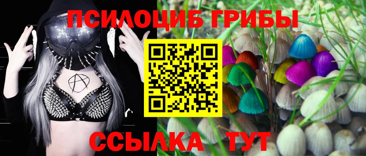 Галлюциногенные грибы Psilocybe Люберцы