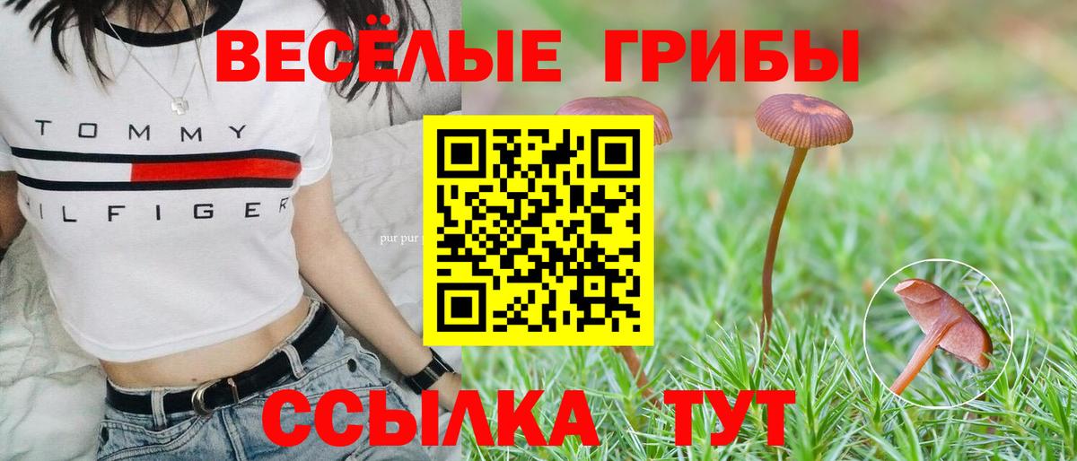 Люберцы  Псилоцибиновые грибы мицелий  Вход с VPN 